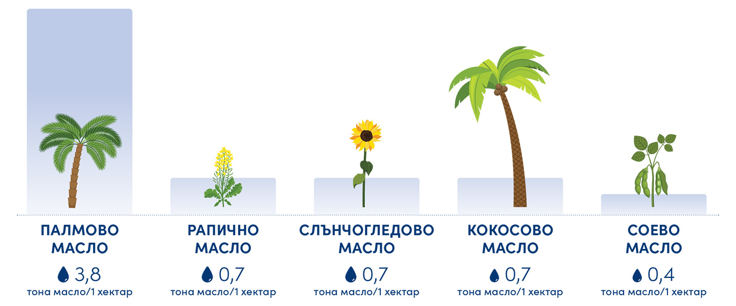 Сравнение на добивите на различни растителни масла на хектар – палмово, слънчогледово, кокосово.