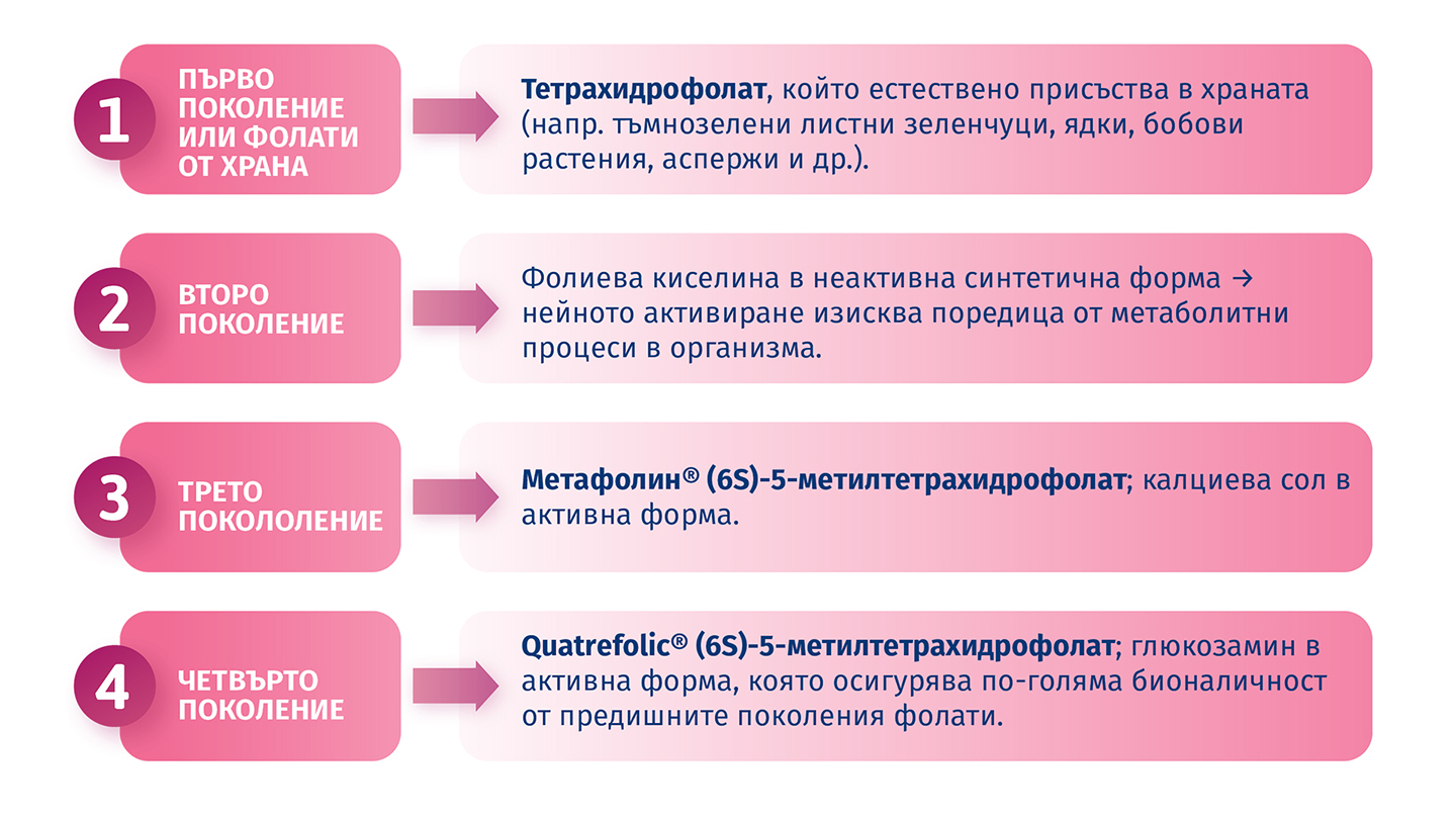 Генерации на фолати и тяхната биологична наличност, показани в четири етапа.