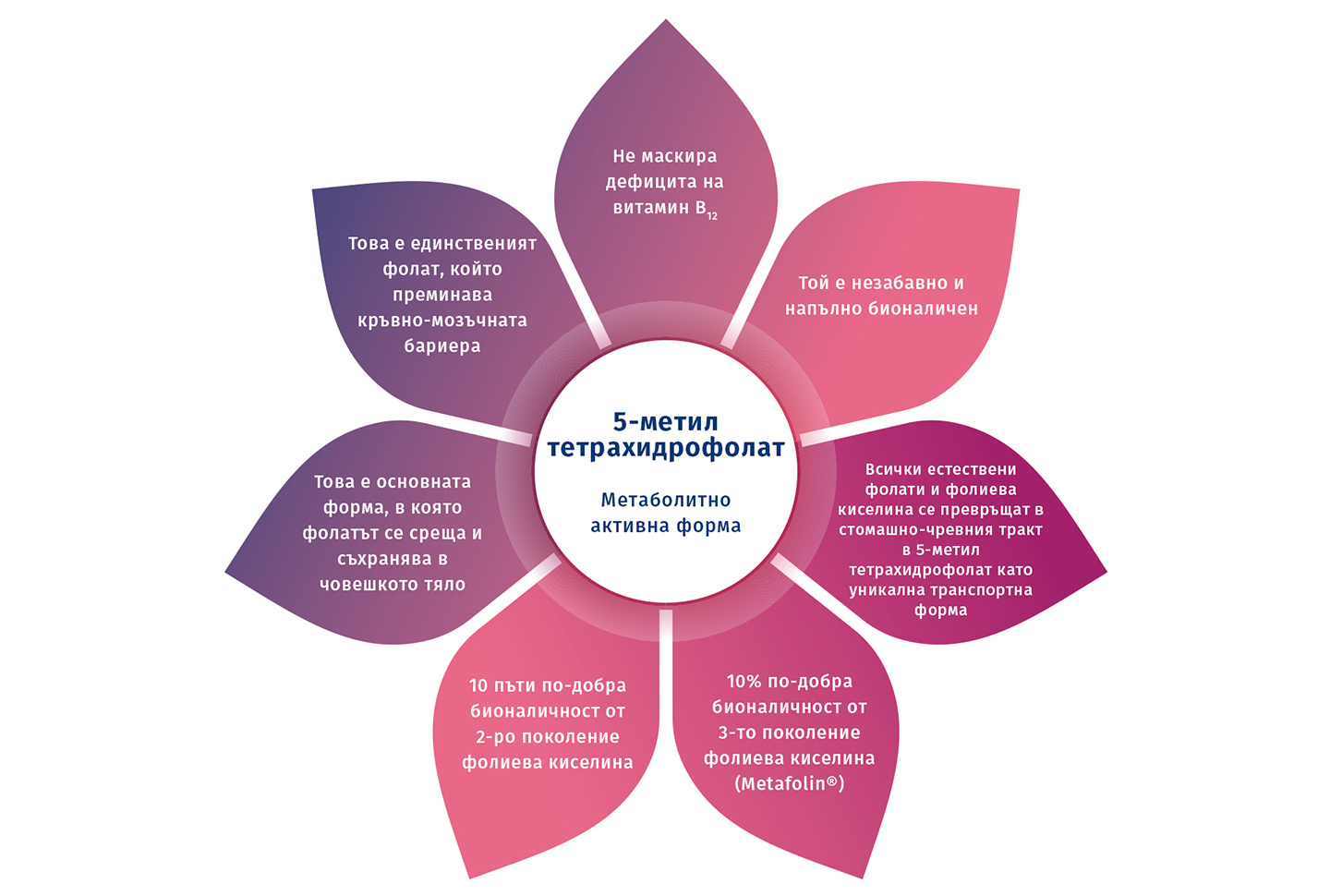 Ползи от активната форма на фолат 5-метилтетрахидрофолат във формата на цвете.